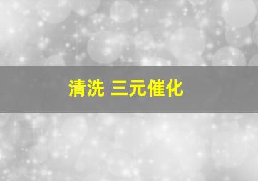 清洗 三元催化